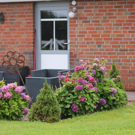 Balzwiekje Auszeit Auf Pferdehof In Ostfriesland Ihlow  外观 照片